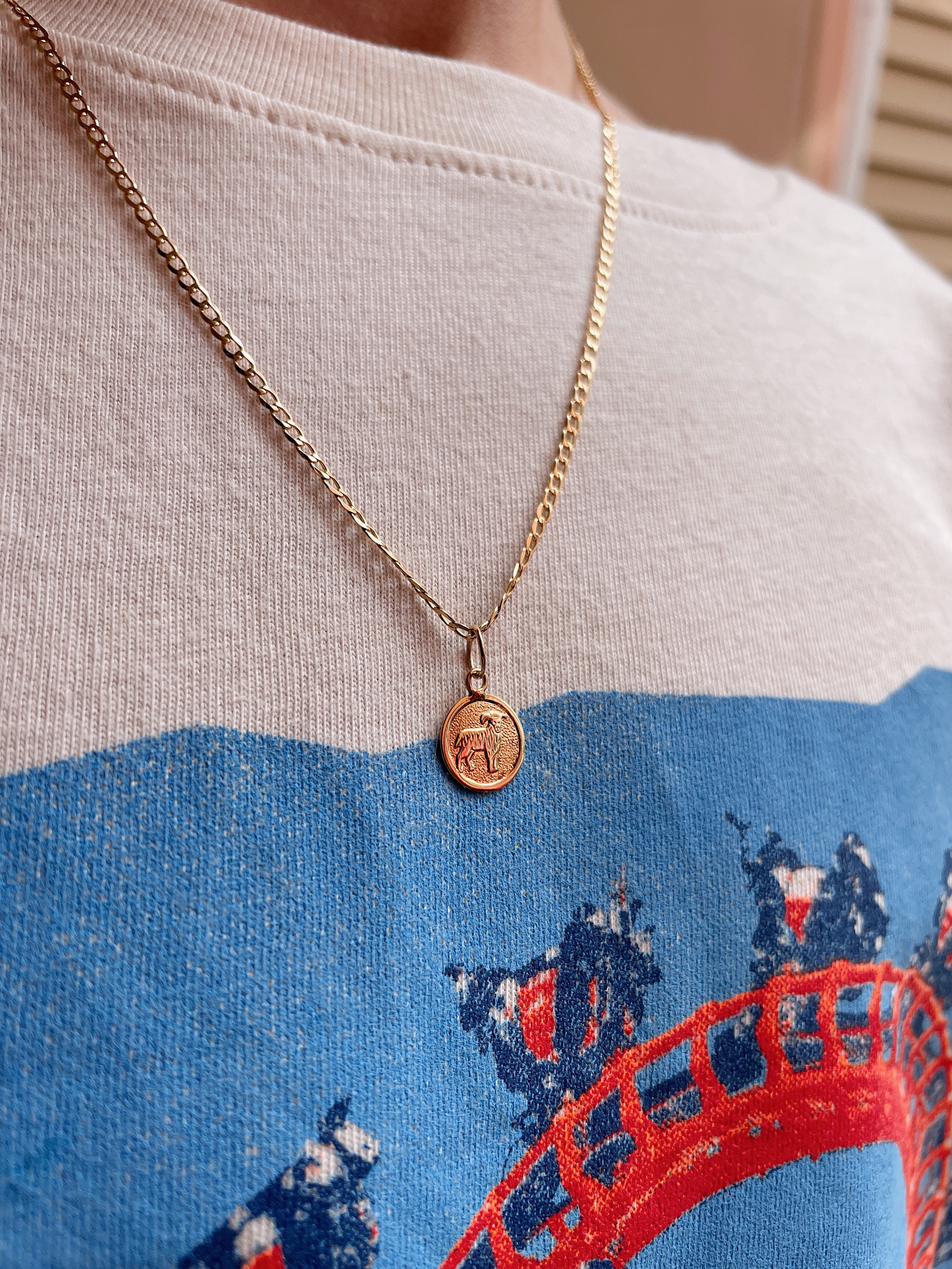 19.25k Yellow Gold Round Zodiac Charm - Image 18