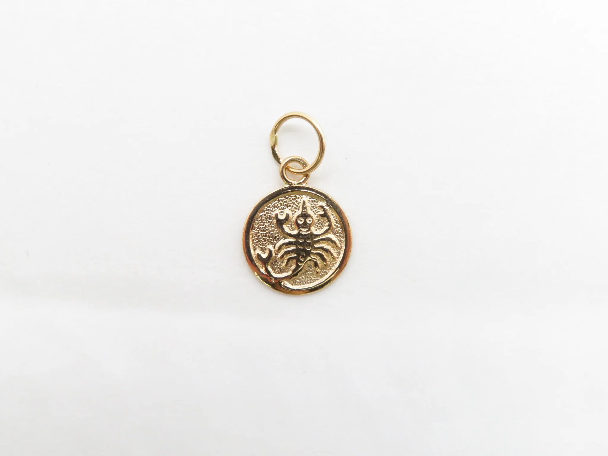 19.25k Yellow Gold Round Zodiac Charm - Image 12