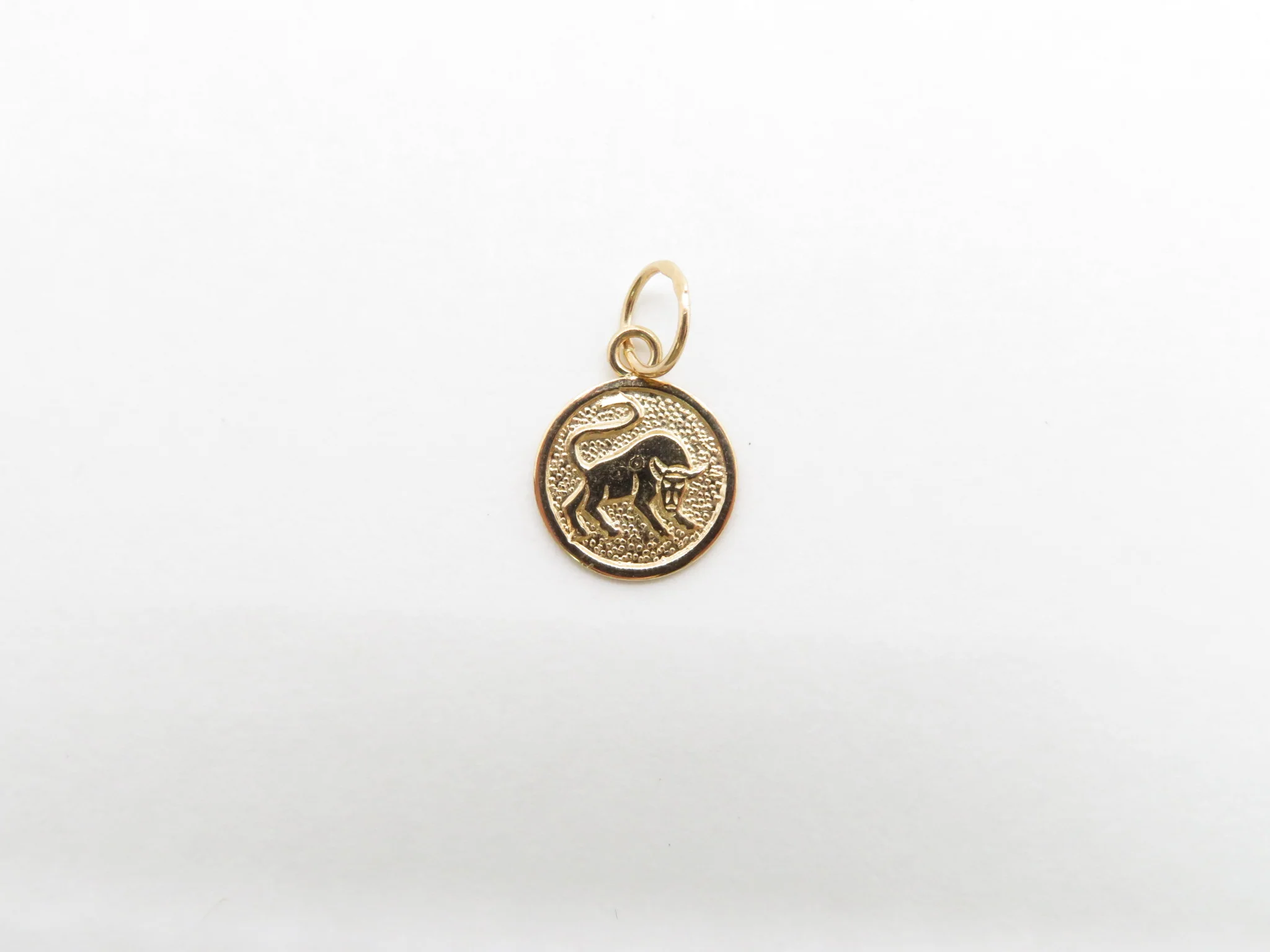 19.25k Yellow Gold Round Zodiac Charm - Image 6
