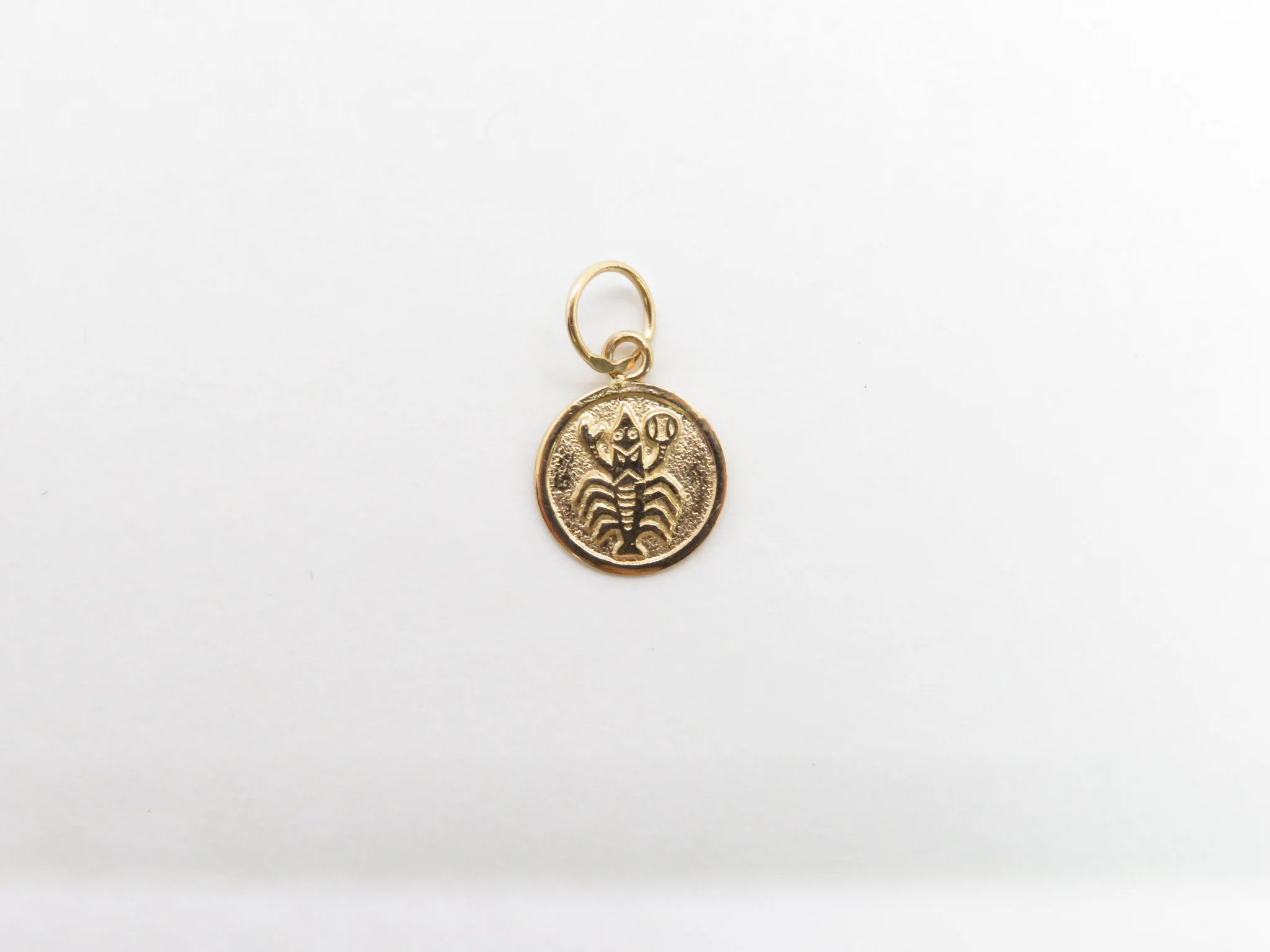 19.25k Yellow Gold Round Zodiac Charm - Image 8